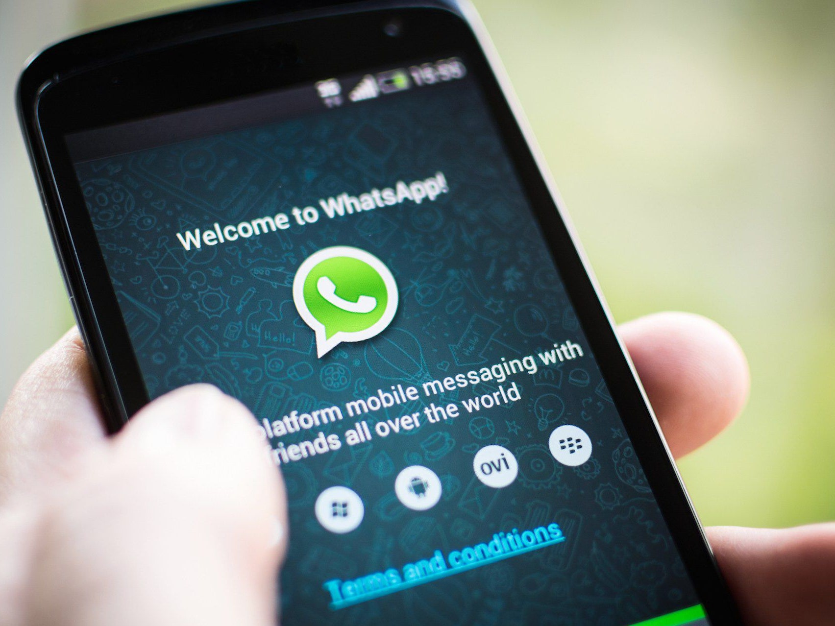 WhatsAPP怎么开发外贸客户